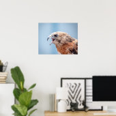 20x16 Roter Schulter-Hawk Poster (Heimbüro)