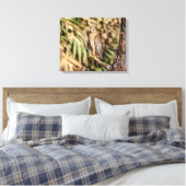 20x16 Roter Schulterkäfer in einem Baum Leinwanddruck (Insitu (Schlafzimmer))