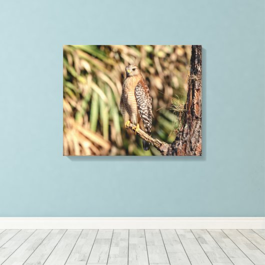 20x16 Roter Schulterkäfer in einem Baum Leinwanddruck (Insitu (Holzboden))