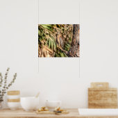 20x16 Roter Schulterkäfer in einem Baum Poster (Küche)