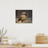 20x16 Rotschwanzhawk im Hudson-Tal Poster (Küche)