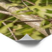 20x16 Schlampe Poster (Ecke)