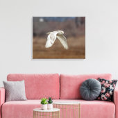 20x16 Schneeeule im Flug Leinwanddruck (Insitu (Wohnzimmer))