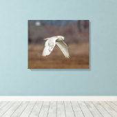 20x16 Schneeeule im Flug Leinwanddruck (Insitu (Holzboden))