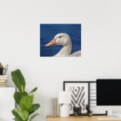 20x16 Weiße Kanadische Gans Poster (Heimbüro)