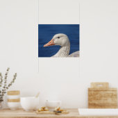20x16 Weiße Kanadische Gans Poster (Küche)