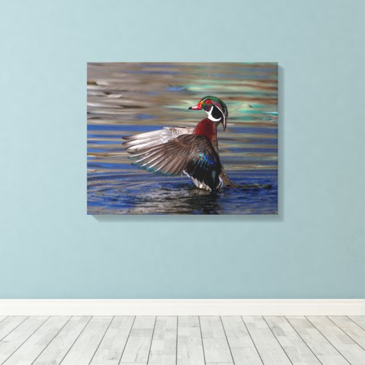 20x16 Wing Flapping Wood Duck Leinwanddruck (Insitu (Holzboden))