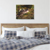 20x16 Young Alligator Leinwanddruck (Insitu (Schlafzimmer))