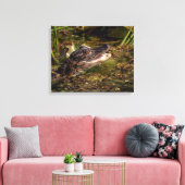 20x16 Young Alligator Leinwanddruck (Insitu (Wohnzimmer))