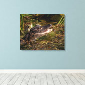 20x16 Young Alligator Leinwanddruck (Insitu (Holzboden))