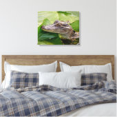 20x16 Young Alligator Leinwanddruck (Insitu (Schlafzimmer))