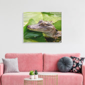 20x16 Young Alligator Leinwanddruck (Insitu (Wohnzimmer))