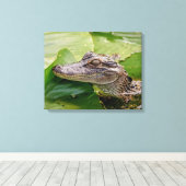 20x16 Young Alligator Leinwanddruck (Insitu (Holzboden))