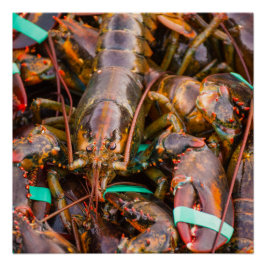 20x20 Poster-Paper (Semi-Gloss) frisch aus dem Boo Poster