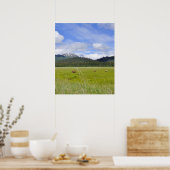 20x24 Plakatpapier (Matte) von Grizzlybären Poster (Küche)