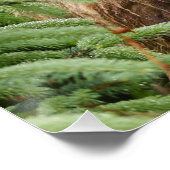 20x25 Poster (Glossy Finish) des Grizzlybären (Ecke)