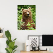 20x28 Poster (Matte) mit Grizzlybär (Heimbüro)