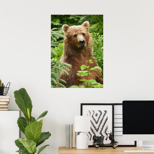 20x28 Poster (Matte) mit Grizzlybär (Heimbüro)