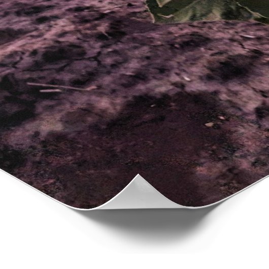 20x30-Wall-Poster Poster (Ecke)