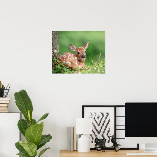 20x6 Adorable Fawn legen unter einem Baum Poster (Heimbüro)