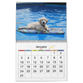 20xx Dog-Kalender Kalender (Jan 2027)