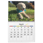 20xx Dog-Kalender Kalender (Mär 2027)