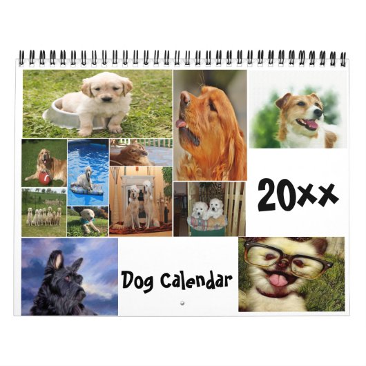 20xx Dog-Kalender Kalender (Titelbild)