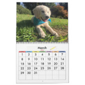 20xx Dog-Kalender Kalender (Mär 2026)
