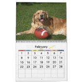 20xx Dog-Kalender Kalender (Feb 2026)