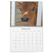 20XX Monatlicher Kuhhändlerkalender Weihrauch Kalender (Feb 2027)