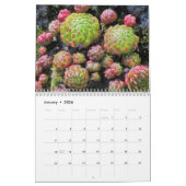 20XX Succulents Lovers Garden Personalisiert Monat Kalender (Jan 2026)