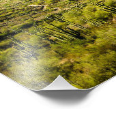 2105-2-Arizona Wüste Landschaft mit Sternen Fotodruck (Ecke)