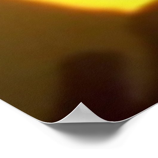 217 Plakat für Wildtiere (Ecke)