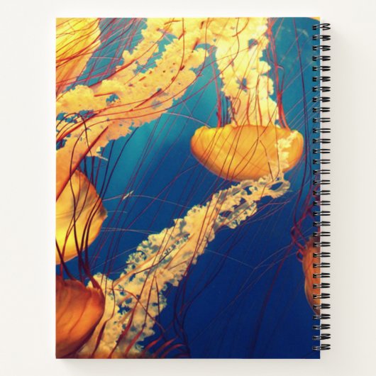 21,6 cm x 28 cm Spiralnotizblock Notizblock (Rückseite)