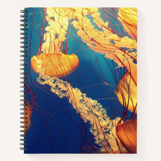 21,6 cm x 28 cm Spiralnotizblock Notizblock (Vorderseite)