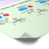 21 Aminosäuren in Biologie mit Struktur Poster (Ecke)