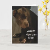 *21. GEBURTSTAG* AUS DIESER COOLEN LIZARD-Karte Karte (Gelbe Blume)