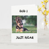 *21. GEBURTSTAG* HÖRTE ALLES DARÜBER. KARTE (Gelbe Blume)