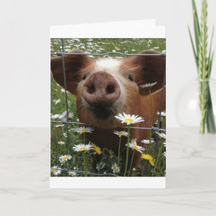 "21. GEBURTSTAG", NICHT NOSY-HOW IST ES? KARTE