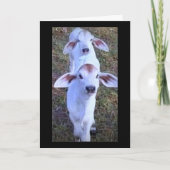 "21 IST ETWAS, WAS ZU BLEIBEN IST." KARTE (Vorderseite)