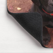 21 Wochen altes schwarzes Labor Mousepad (Ecke)