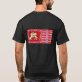 21o Stormo T-Shirt (Rückseite)
