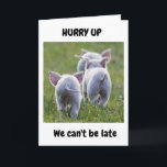 **21st BIRTHDAY** FROM RUNAWAY FUN LOVING PIGS Karte<br><div class="desc">ICH HABE DIESES FOTO GENUG GENUG GENOMMEN UND DIESE KARTE GEMACHT,  WEIL ICH "WISSEN",  DASS JEMAND "ES AUCH LIEBE" MACHEN WIRD,  UND ICH HOFFE,  DASS SIE GENUG SIND,  ES EINEM FREUND ODER FAMILIENMITGLIED ZU SENDEN ODER ZU GEBEN :)</div>