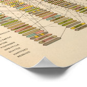 22 Rang der Städte Poster (Ecke)