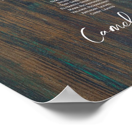 22 Tabelle Rustikales Holz Gypsophila FOTO SITZEND Poster (Ecke)