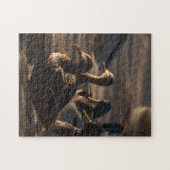 2318-Mallard-Ducks bei Weibchen im Puzzle (Horizontal)