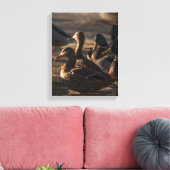 2318-Mallard-Enten Leinwanddruck (Insitu (Wohnzimmer))