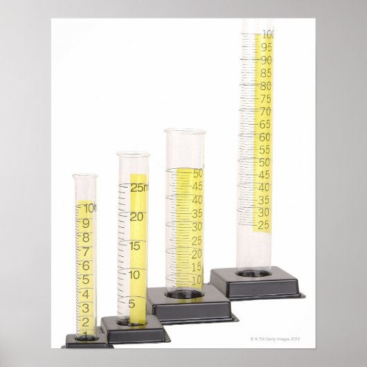 23529877 POSTER (Vorne)