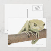 23568119 POSTKARTE (Vorne/Hinten)