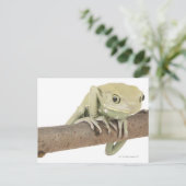 23568119 POSTKARTE (Stehend Vorderseite)